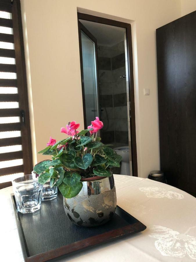 Отель Eden Blue Костинешти Экстерьер фото