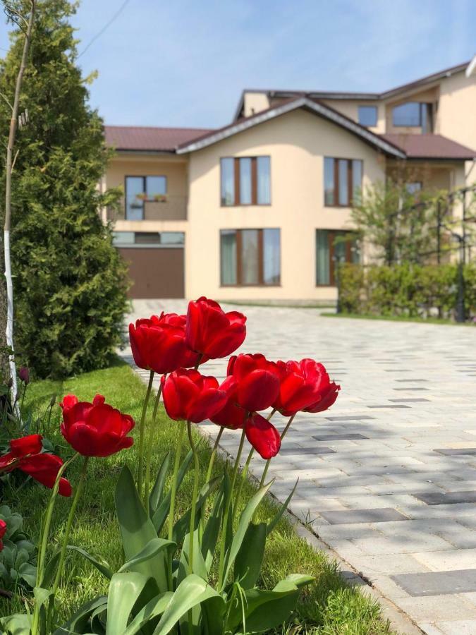 Отель Eden Blue Костинешти Экстерьер фото