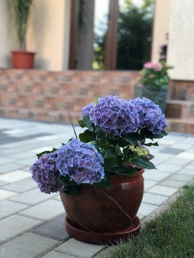 Отель Eden Blue Костинешти Экстерьер фото